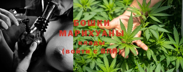 амф Верея