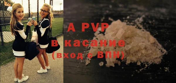 амф Верея
